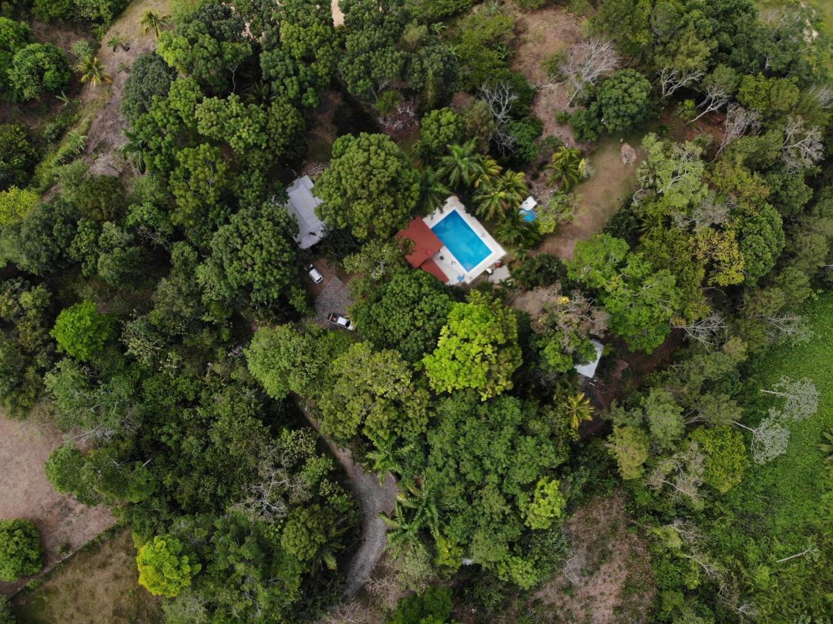 Plasencia Estate Omoa Exterior photo